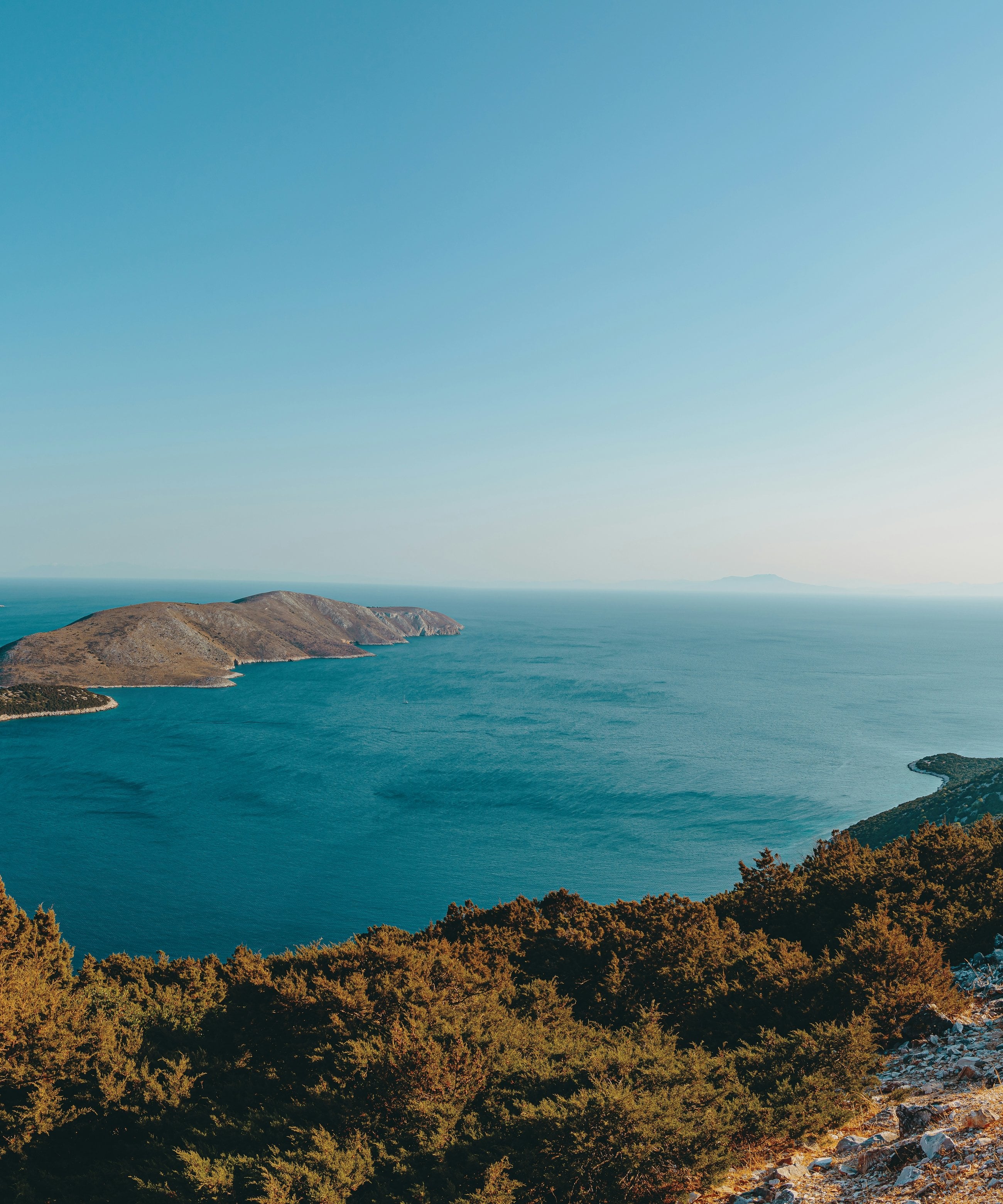 Pine scrub on a headland above a calm, deep-blue sea, with an island on the horizon