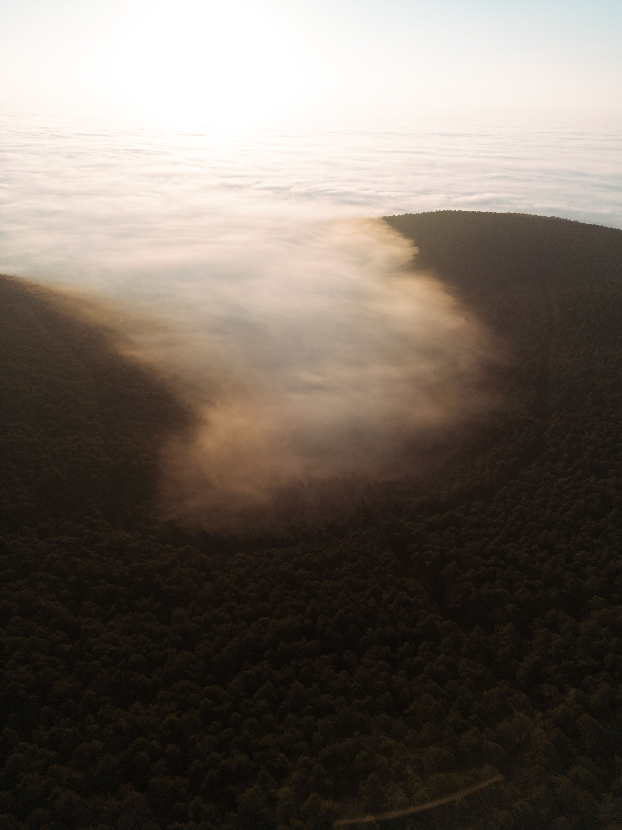 Sunrise over a mist-covered forest ridge