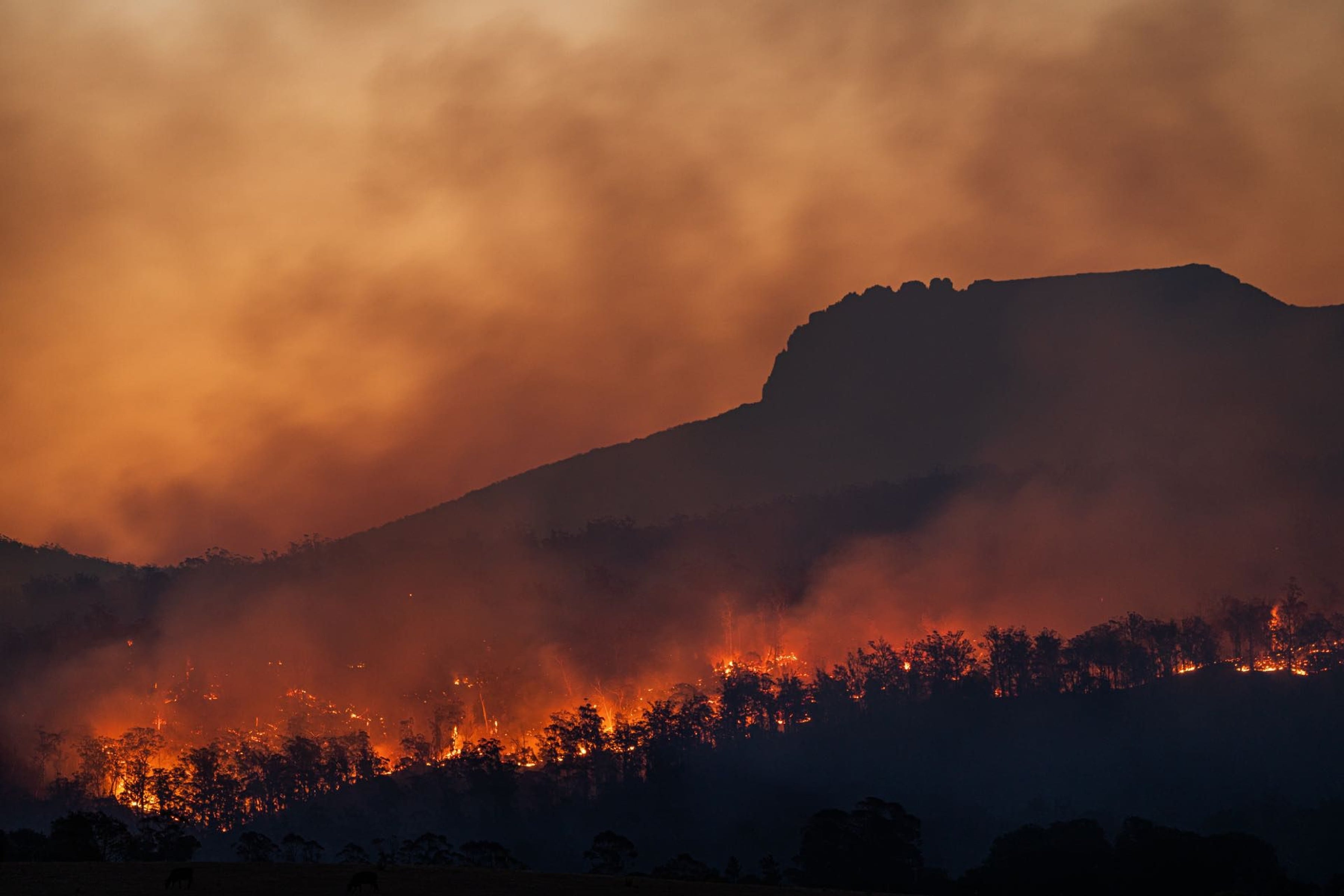 Wildfire silhouette across a mountain ridge